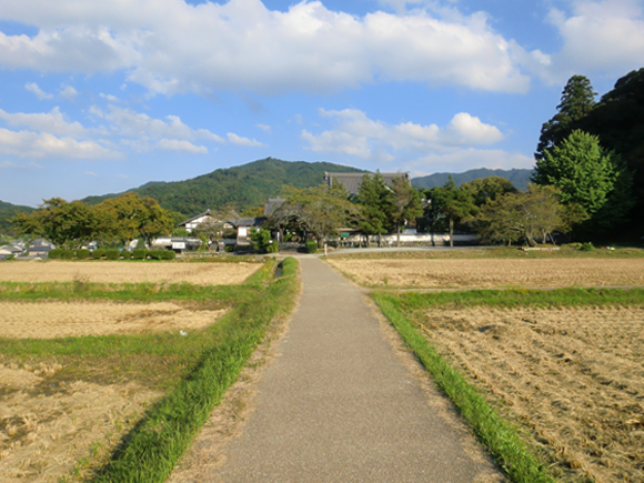橘寺への道