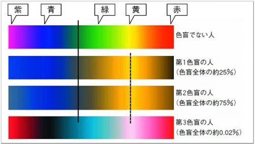 色覚障害（色盲）における色の見え方の違い