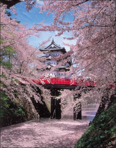弘前城と桜と下乗橋
